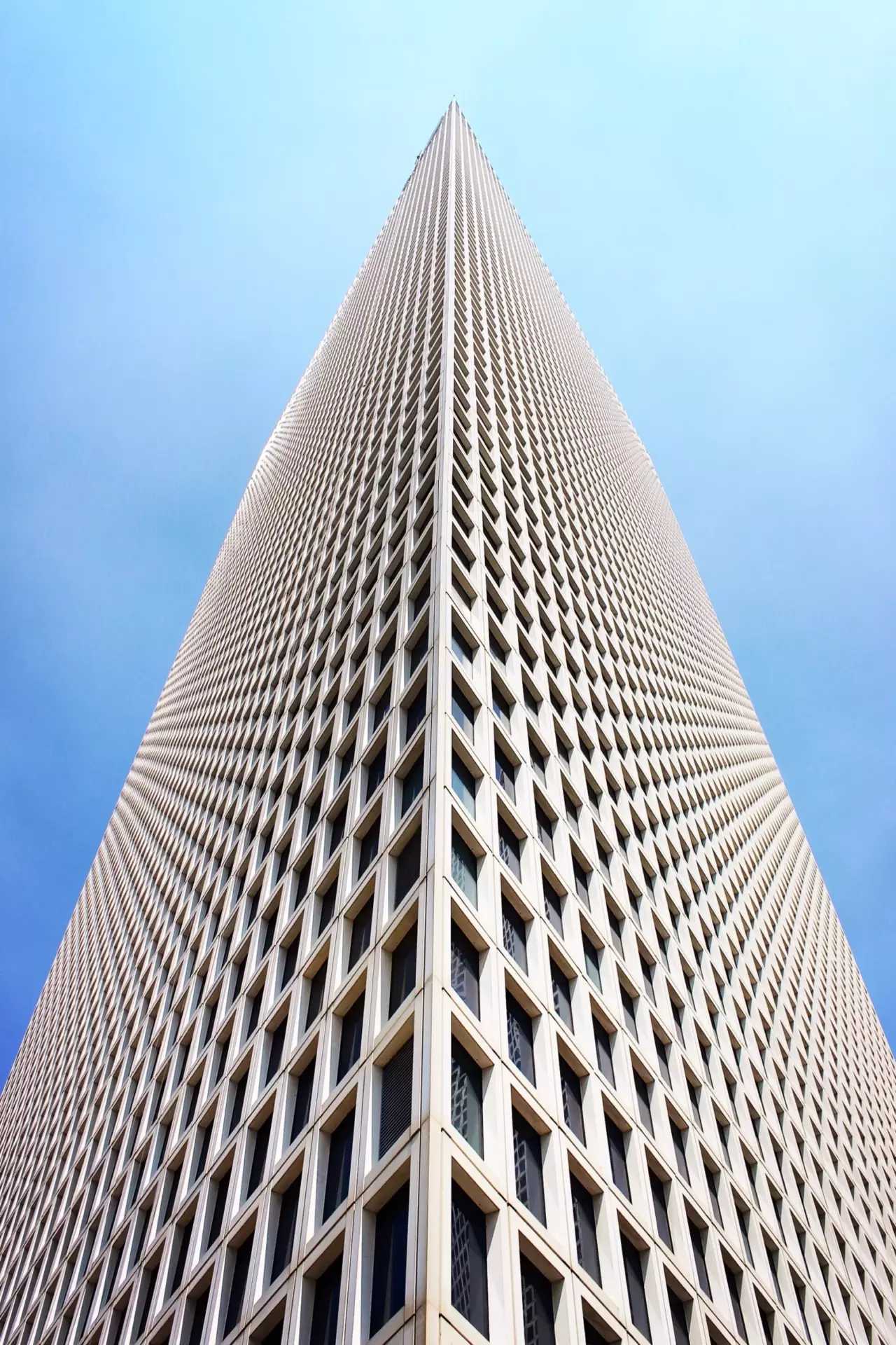 mihail-ribkin-VjmlDjePHjE-unsplash